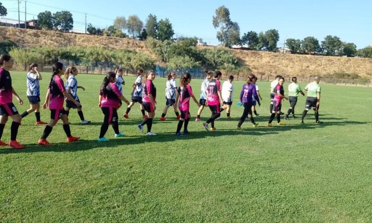 La pelotita volvió al ruedo en la Liga Femenina del Maule&nbsp;