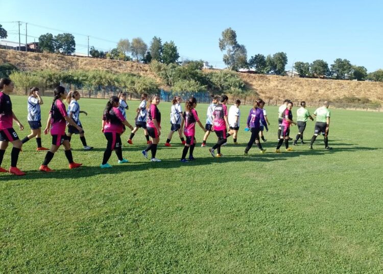 La pelotita volvió al ruedo en la Liga Femenina del Maule&nbsp;
