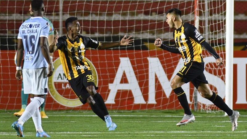 LOCURA POR EL TIGRE