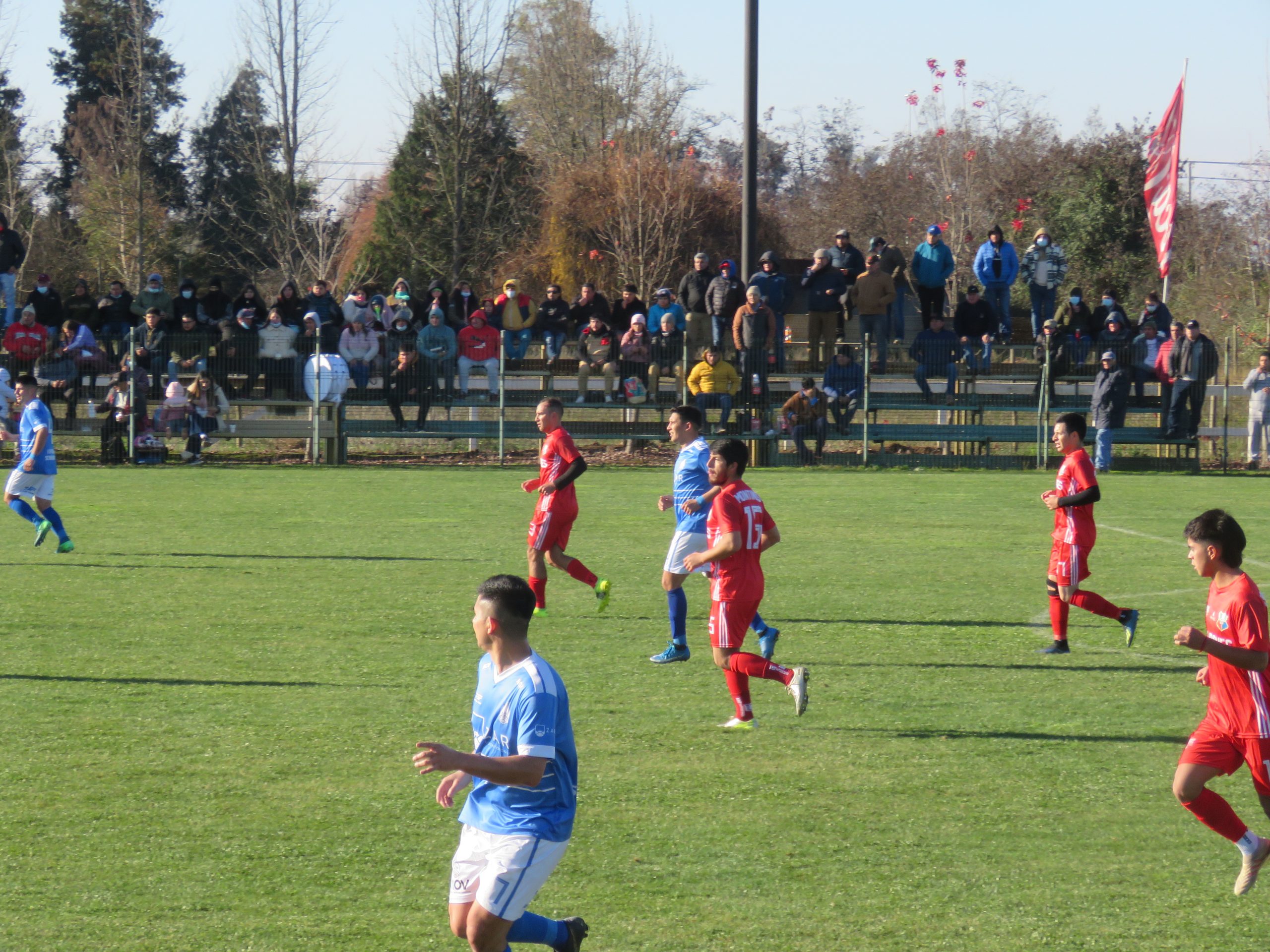 PROPONEN Y SON DUROS