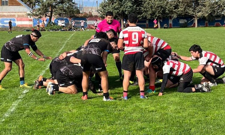 Asociación Maule Rugby con actividades en múltiples frentes