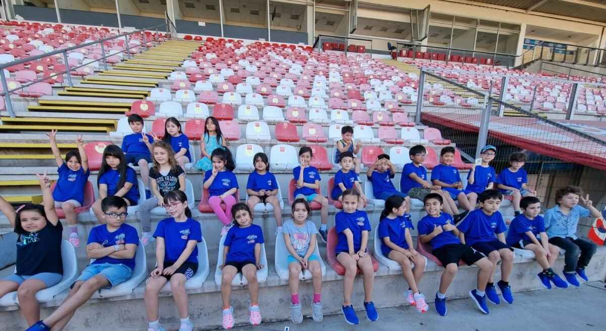 DESAFÍO LEVANTEMOS CHILE DONÓ ZAPATILLAS DEPORTIVAS