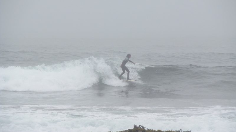 SE SIENTEN LOS TIEMPOS DEL SURF