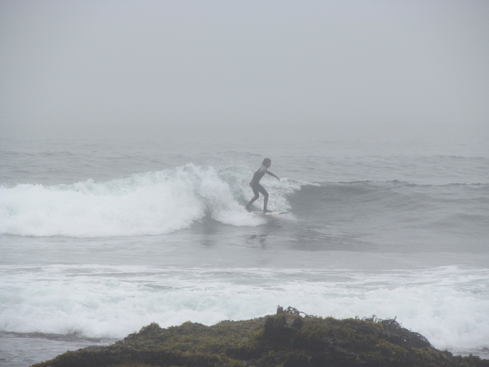 SE SIENTEN LOS TIEMPOS DEL SURF