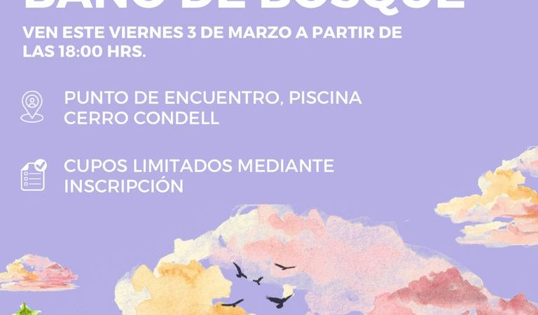 “Baño de Bosque” atractiva y novedosa actividad en Curicó impulsada por la Corporación de Deportes del municipio