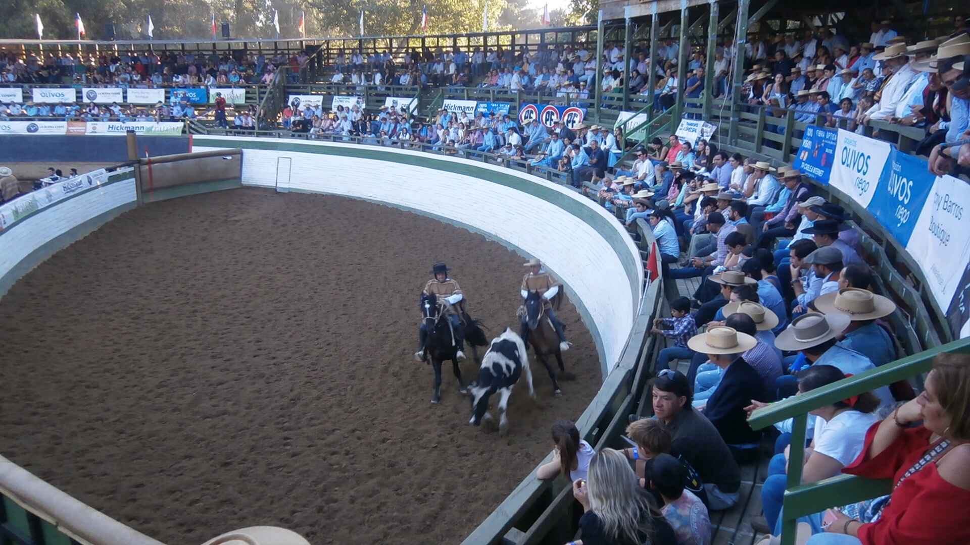 HERNÁNDEZ-SEPÚLVEDA CAMPEONES DEL CLASIFICATORIO DE PELARCO