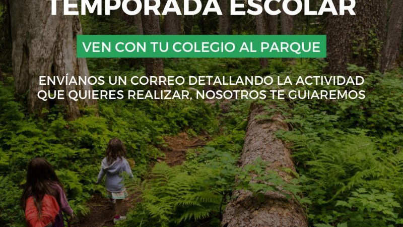 Parque Cerro Carlos Condell de Curicó dispone de visitas guiadas a estudiantes