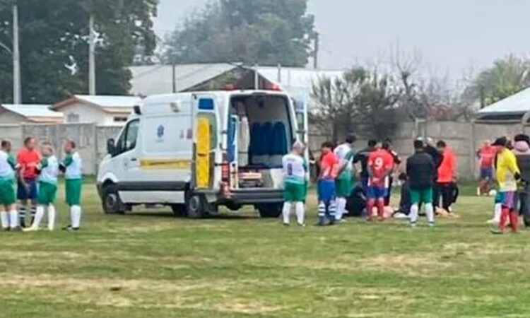 Proyecto caerá como anillo al dedo para los peloteros del Maule