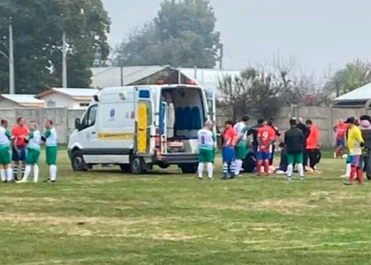 Proyecto caerá como anillo al dedo para los peloteros del Maule