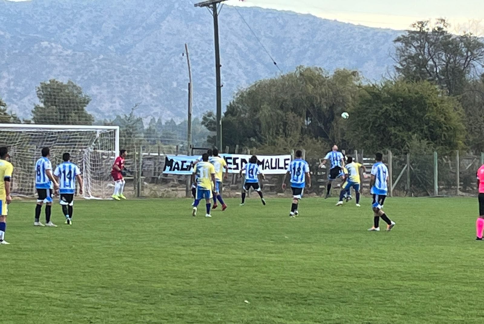 REVANCHAS Y ELIMINACIONES DIRECTAS