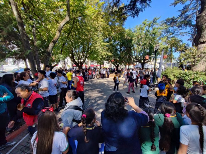 En Curicó se celebró el Día de la Actividad Física