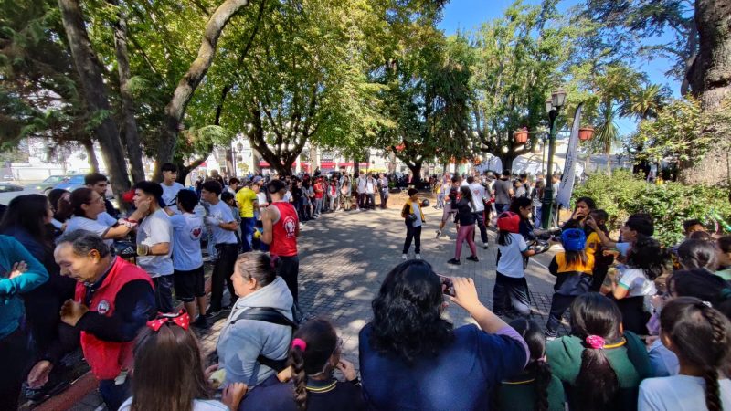 En Curicó se celebró el Día de la Actividad Física
