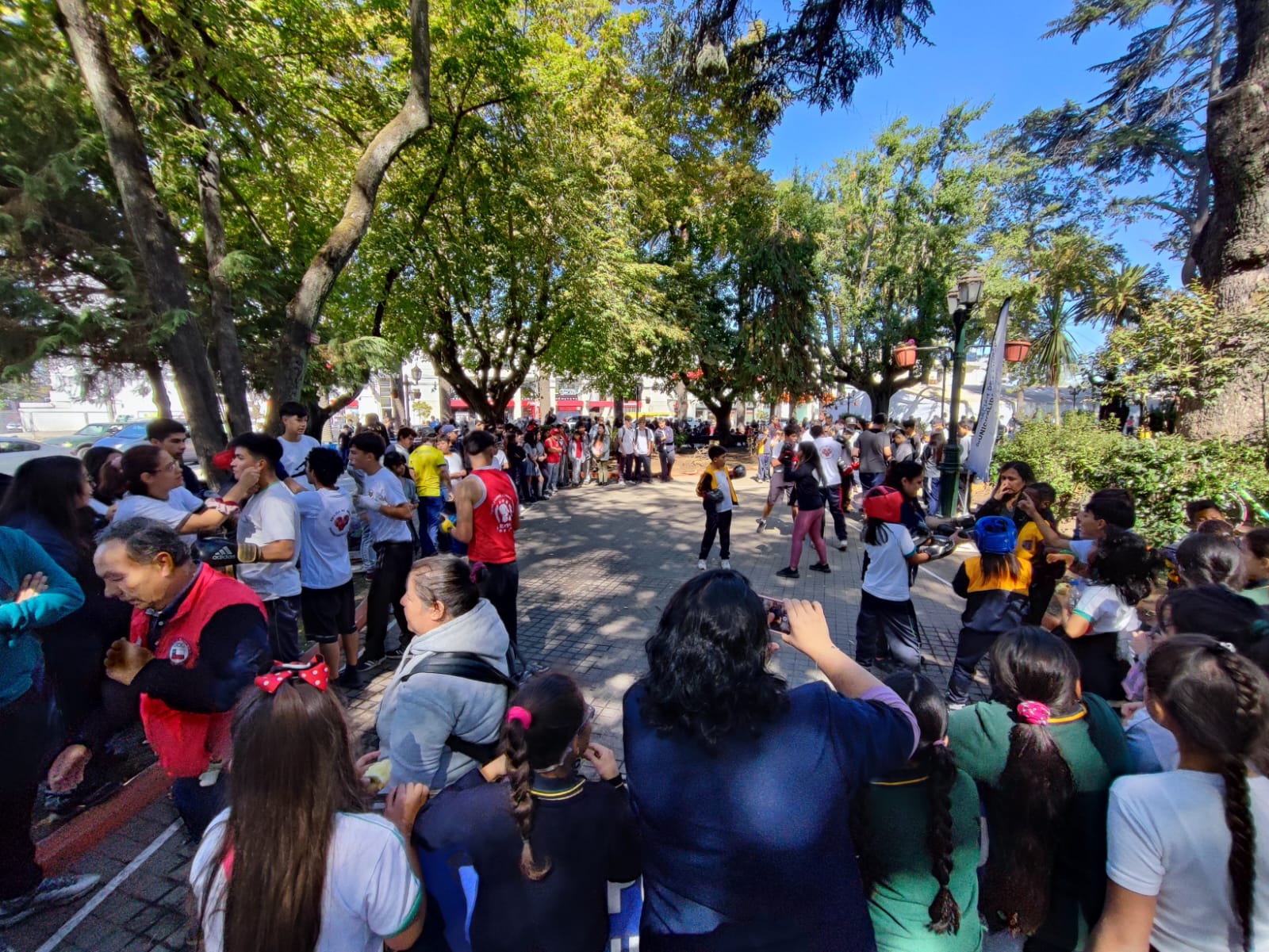 En Curicó se celebró el Día de la Actividad Física