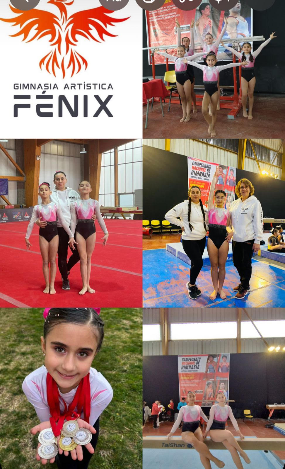 Club Fénix de Curicó brilla en campeonato Nacional de Gimnasia Artística