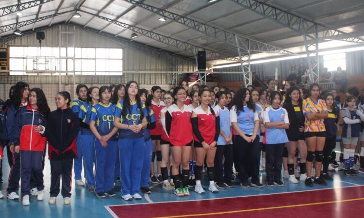 Liga Escolar de Vóleibol Femenino en Talca es una realidad
