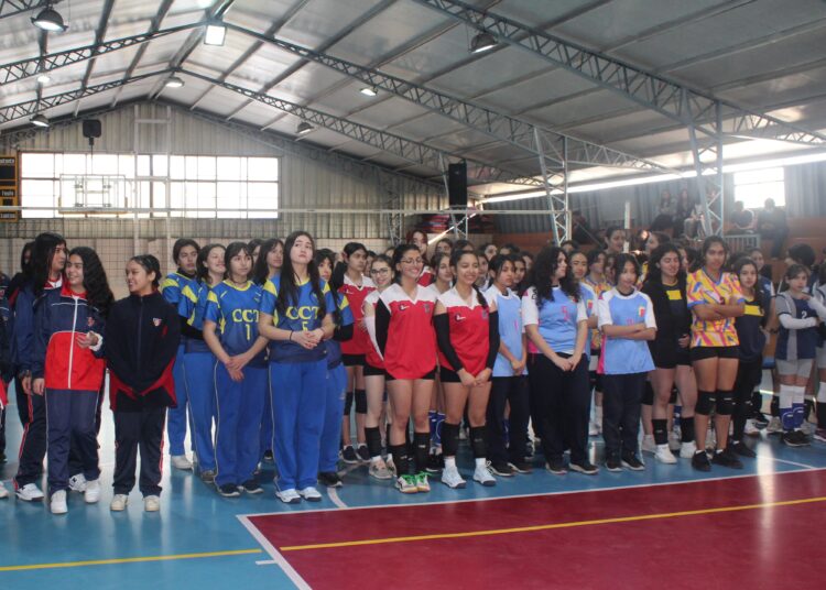 Liga Escolar de Vóleibol Femenino en Talca es una realidad