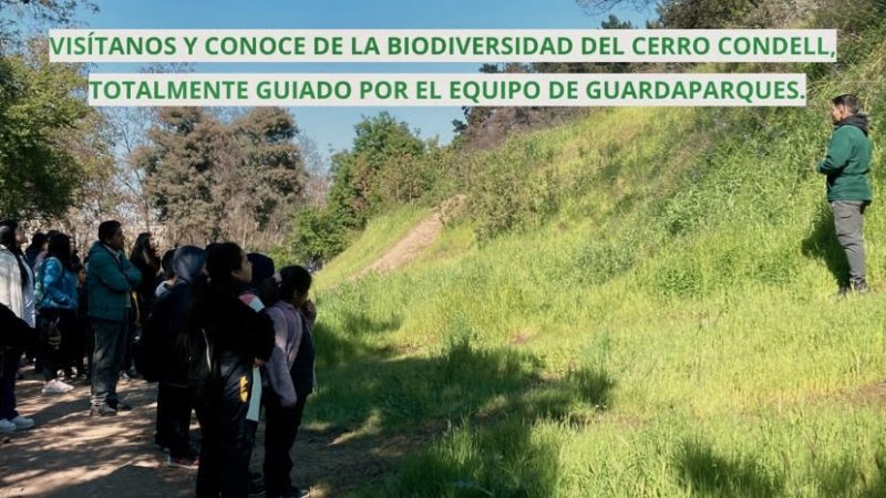 Parque Cerro Condell una verdadera alternativa en vacaciones en la ciudad de Curicó