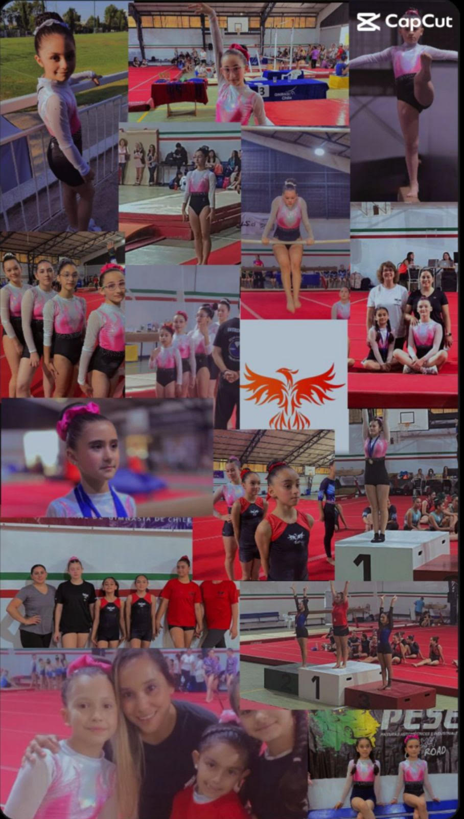 Club Deportivo Fénix de Curicó conquistó el Nacional Federado Fenagichi 2023