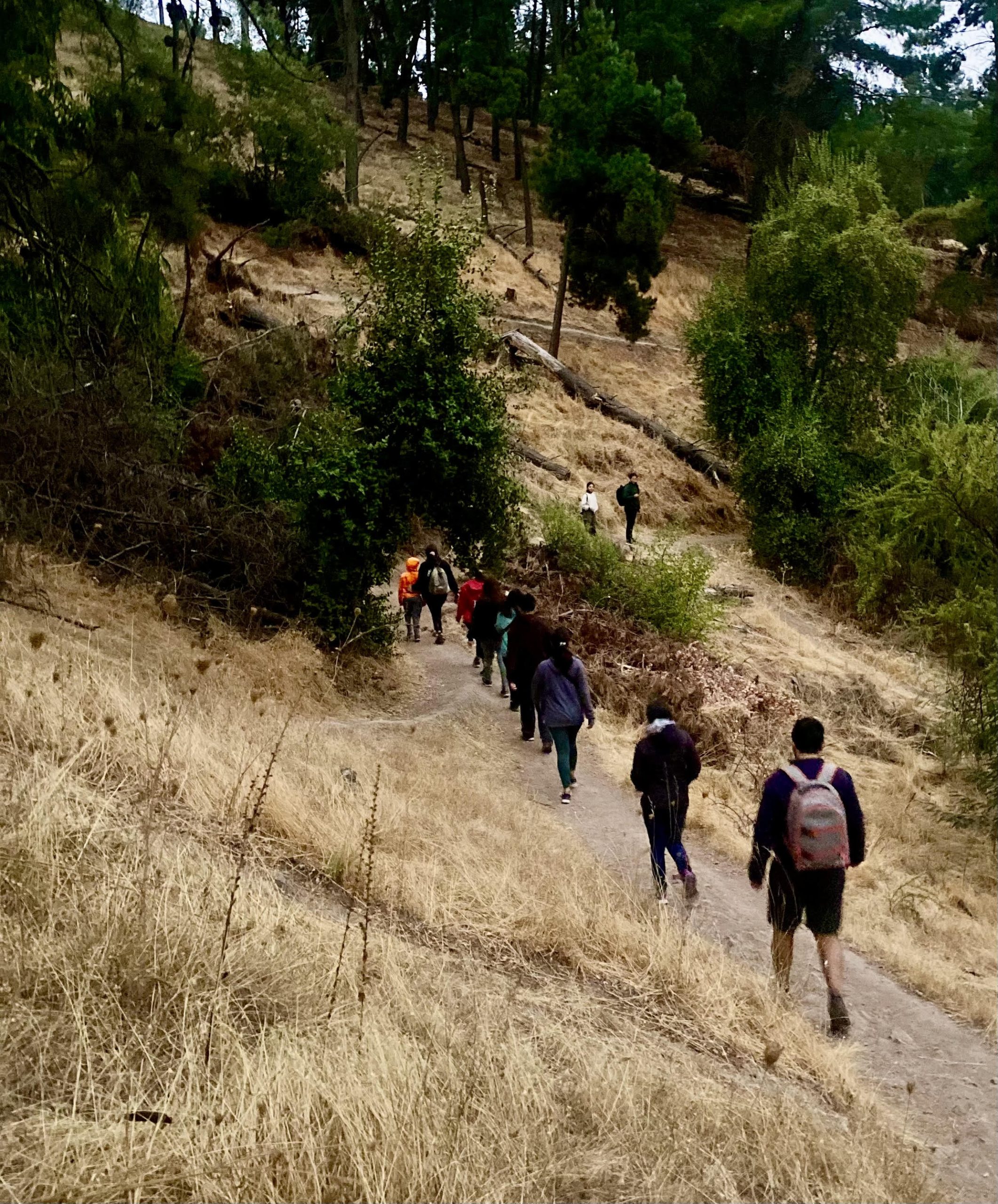 Se realizó “Trekking al amanecer” en el Cerro Carlos Condell de Curicó