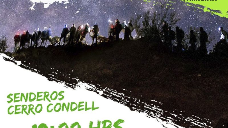 Curicó celebra el Día Internacional de la Actividad Física