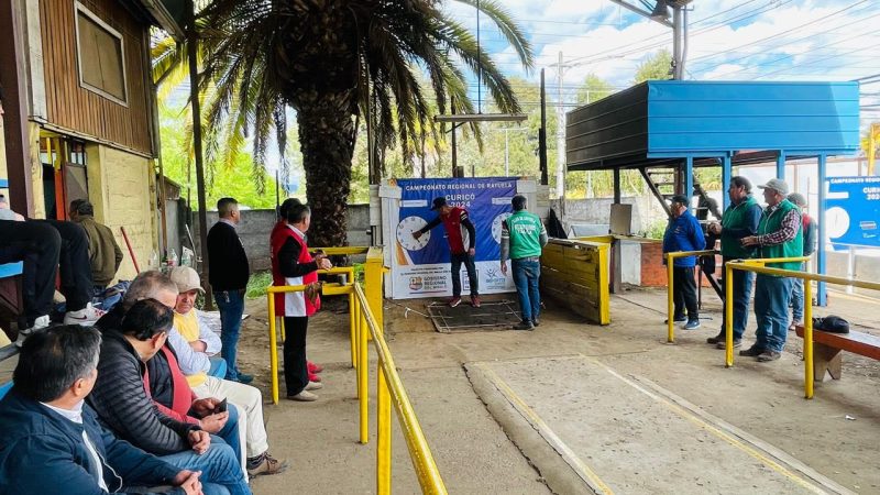 Torneo Regional de rayuela se desarrolló en Curicó