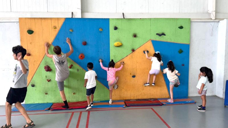 Campamento de Verano: Actividad para Niños Organizada por la Corporación de Deportes