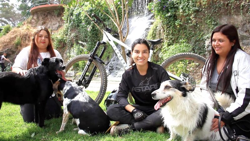 Campaña de adopción responsable de mascotas de la Corporación de Deportes de Curicó