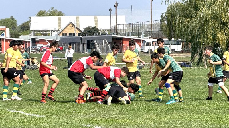 El Rugby en Curicó: Una Pasión que Sigue Creciendo