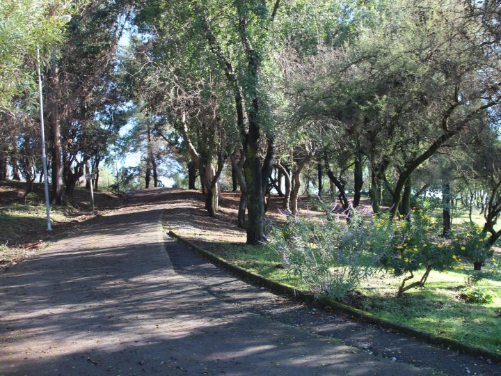 Cerro Condell se suma a la celebración nacional del Día de los Cerros Islas