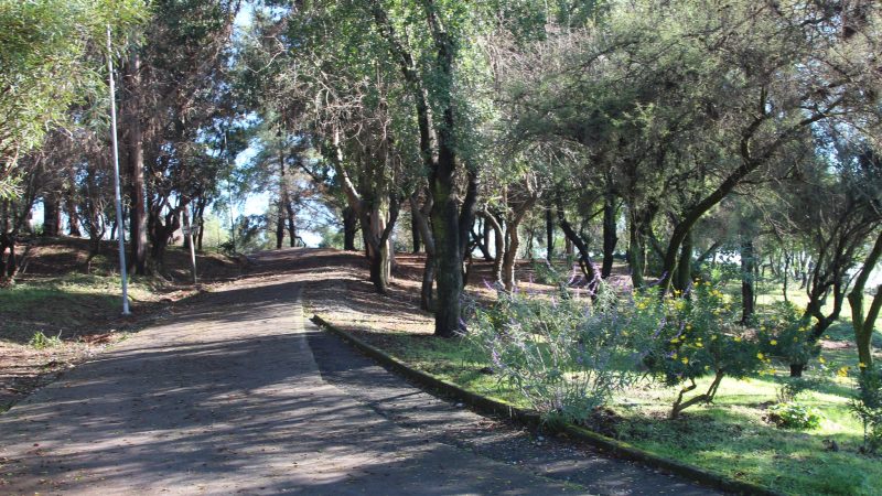 Cerro Condell se suma a la celebración nacional del Día de los Cerros Islas